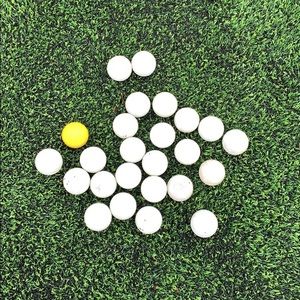 Meet your Posher, Riley